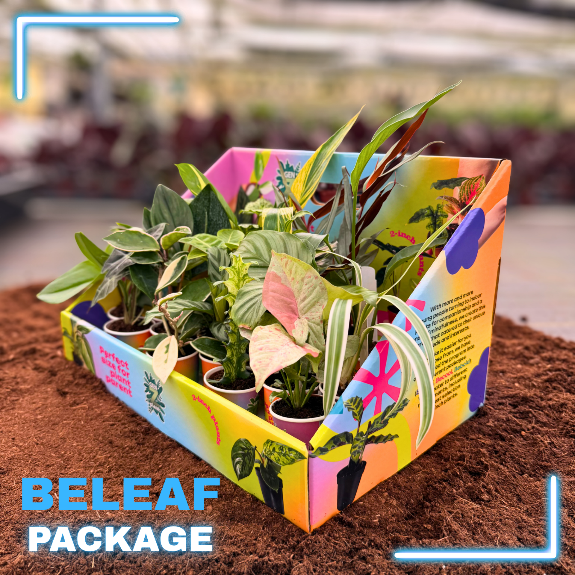 BELEAF 2