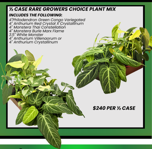 Picture of Rare Plant Collection Mix 4"