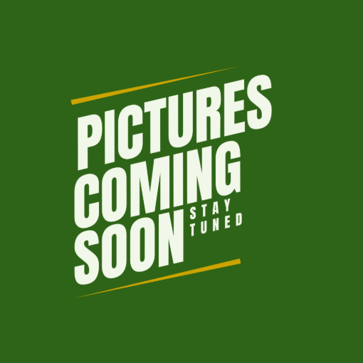 Picture of Hoya Curtissi 4"